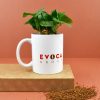 Mug publicitaire avec plante caféier
