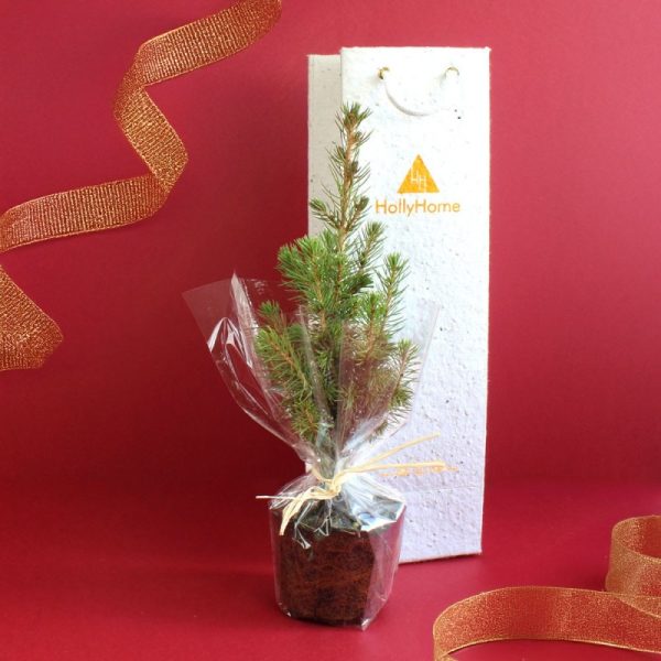 Arbre personnalisé à offrir cadeau entreprise avec sac à planter