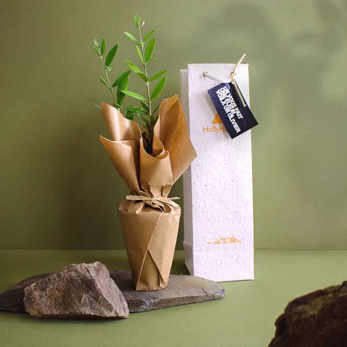 Plante avec sac à planter personnalisable