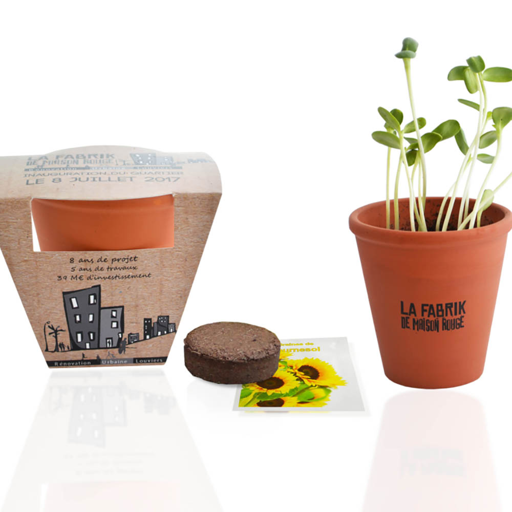 Kit de plantation Trio de pots terre cuite avec graines à semer Made in  France personnalisable à votre logo - Le Cadeau Français®