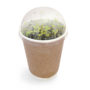Goblet smoothie à faire pousser - Cadeau d'entreprise original personnalisable