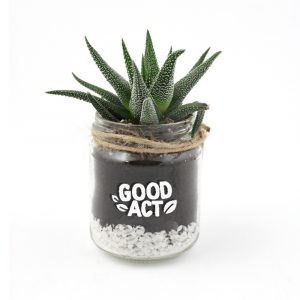Plante dépolluante personnalisable en bocal en verre avec logo Good Act