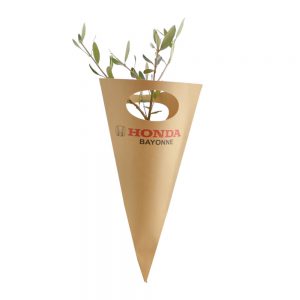 Plant d’arbre en cornet kraft