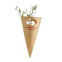 Plant d’arbre en cornet kraft