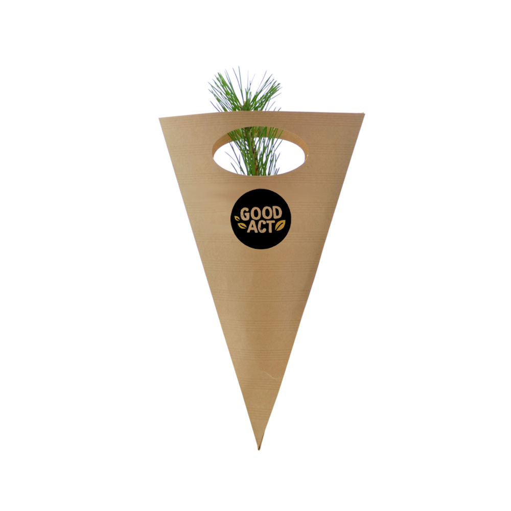Plante personnalisée en cornet kraft