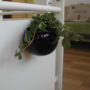 Petite plante personnalisable avec un logo dans un pot en céramique