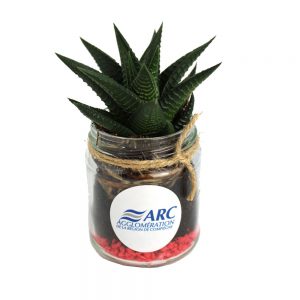plante dépolluante en bocal