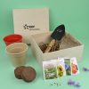 Coffret jardinage personnalisé pour entreprise