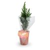 Mini sapin personnalisable à offrir - Cadeau d'entreprise