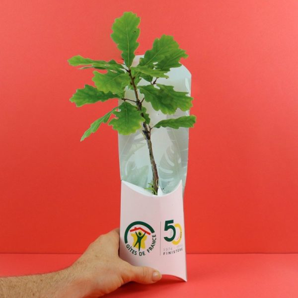 Petit arbre avec étui publicitaire