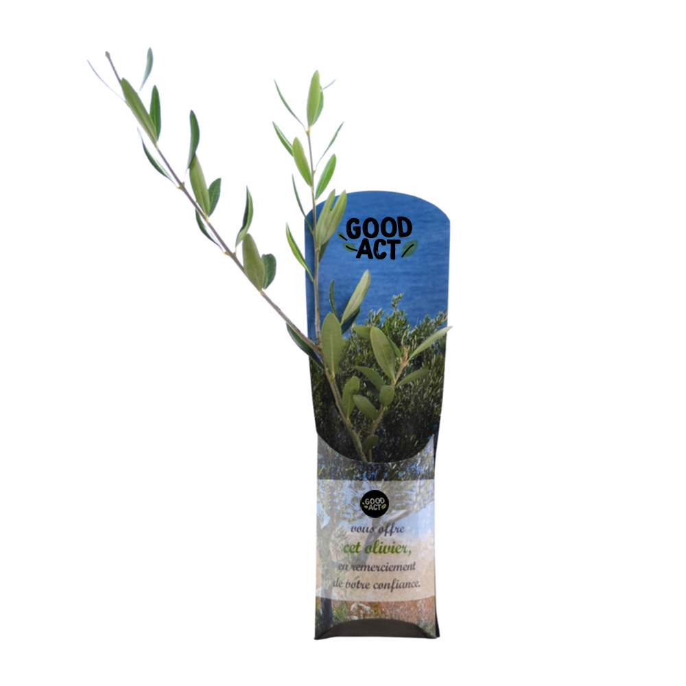 Mini plant d'arbre publicitaire