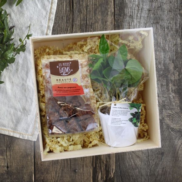 Coffret personnalisé avec caféier et chocolat