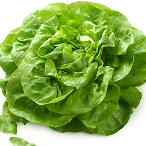 Salade