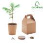 Kit-culture-arbre-Growtree