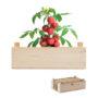 Cagette de culture publicitaire de tomate personnalisable
