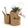 Duo de pot en toile de jute avec plante dépolluante