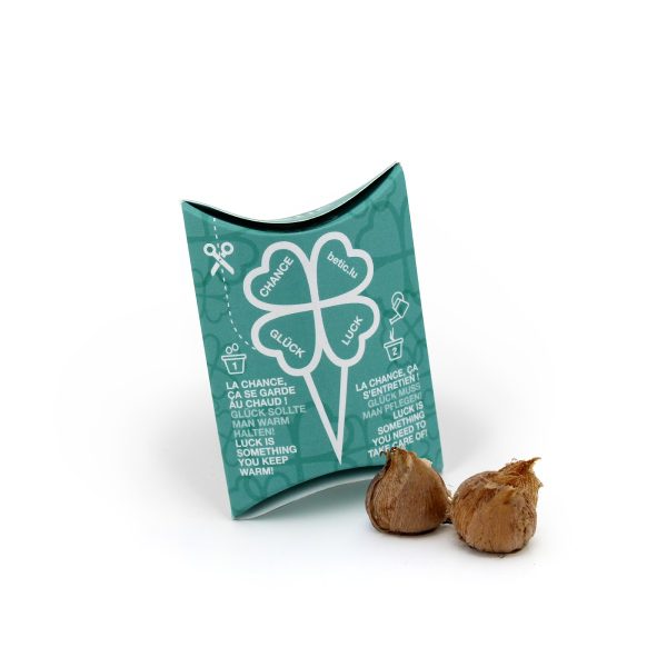 Trèfles 4 feuilles personnalisés