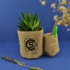 Duo de pot en toile de jute avec plante dépolluante