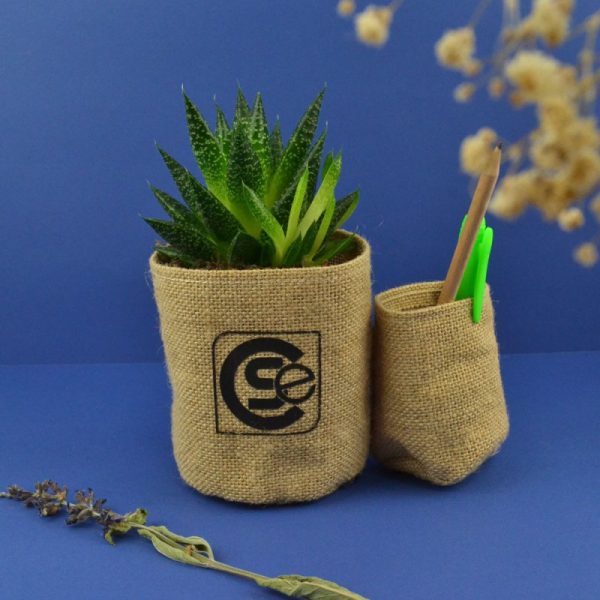 Duo de pot en toile de jute avec plante dépolluante