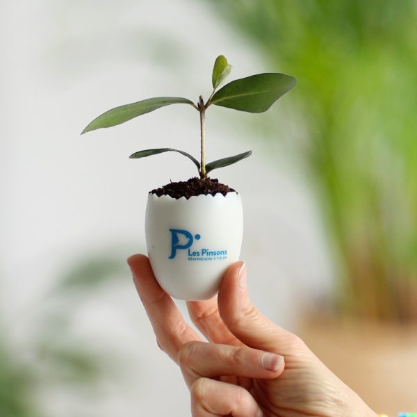 Mini plante dans un oeuf personnalisé - Goodies nature