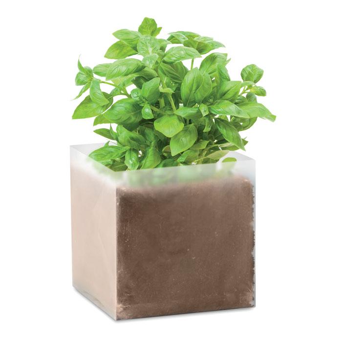 Mini kit de basilic à faire pousser