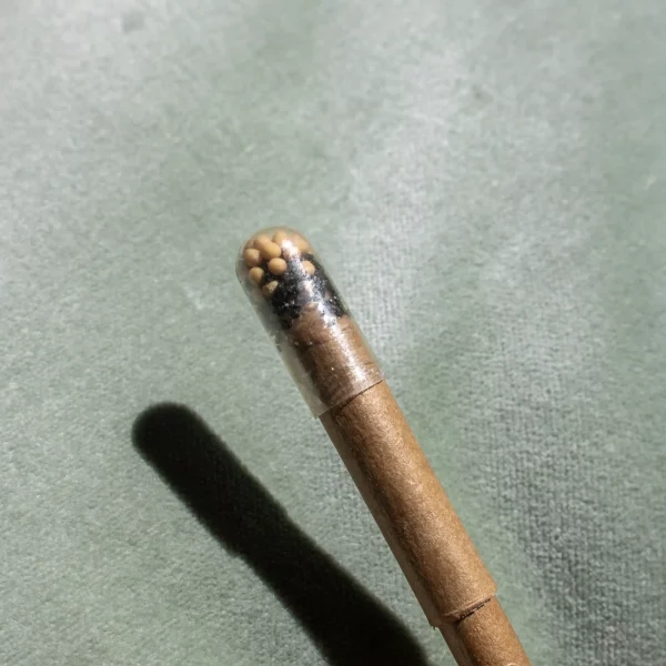 Stylo avec graines à planter
