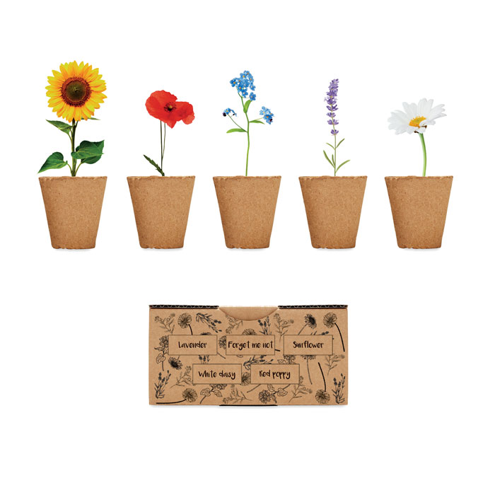 Kit de culture de fleurs personnalisable