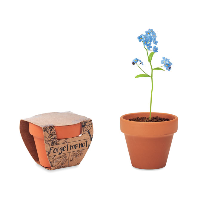Petit pot en terre cuite personnalisable à faire pousser, myosotis