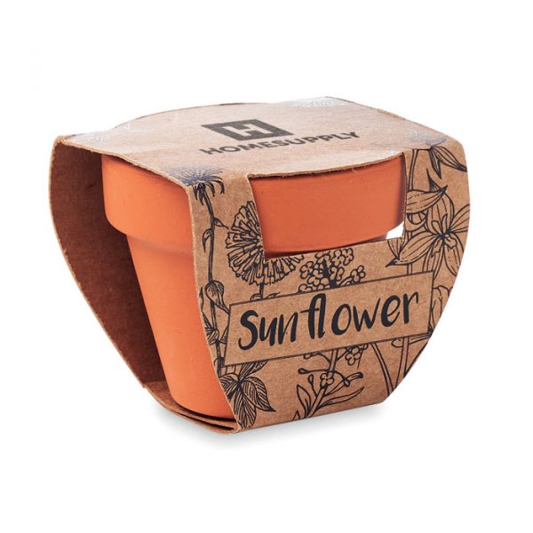 Pot En Terre Cuite Avec Graines De Tournesol – Kit De Plantation Complet Avec Substrat – Biodégradable, Boîte écologique, Parfait Pour Débutants