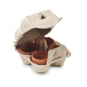 Boite d'oeuf personnalisable contenant des pots de cresson à faire pousser