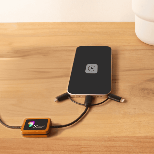 Câble de charge avec logo lumineux