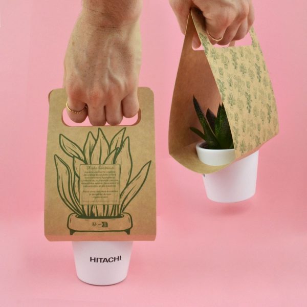 Plante personnalisée avec un logo