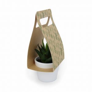 Plante portative personnalisable avec pot en céramique