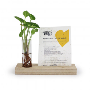 Socle en bois publicitaire avec plante et carte à planter