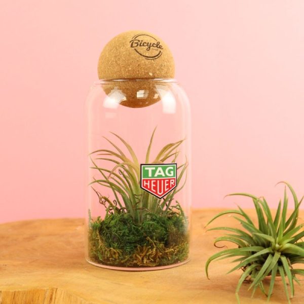 Terrarium publicitaire avec une boule en liège