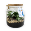 Terarium relaxant